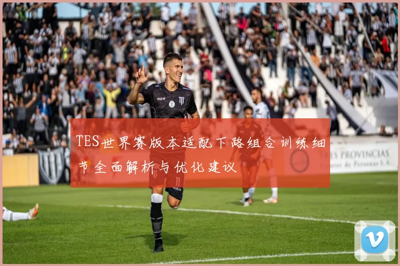 TES世界赛版本适配下路组合训练细节全面解析与优化建议
