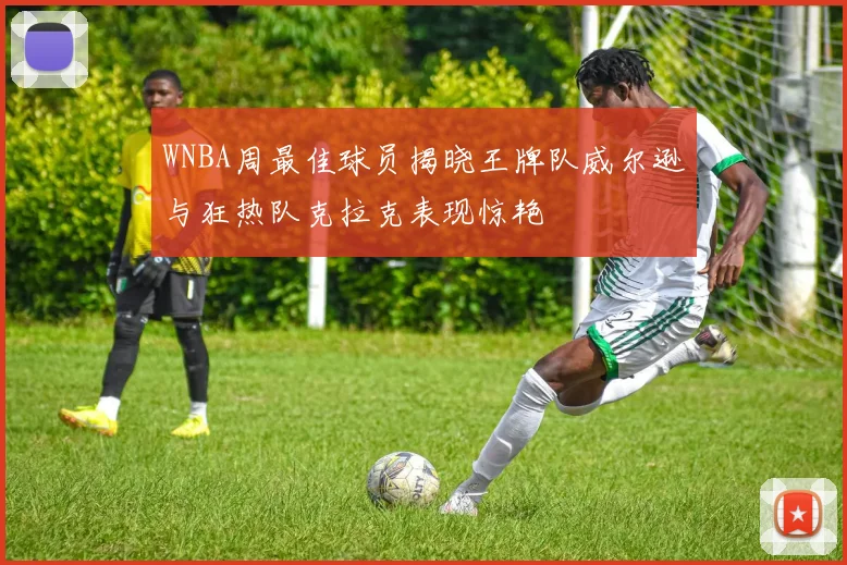 WNBA周最佳球员揭晓王牌队威尔逊与狂热队克拉克表现惊艳